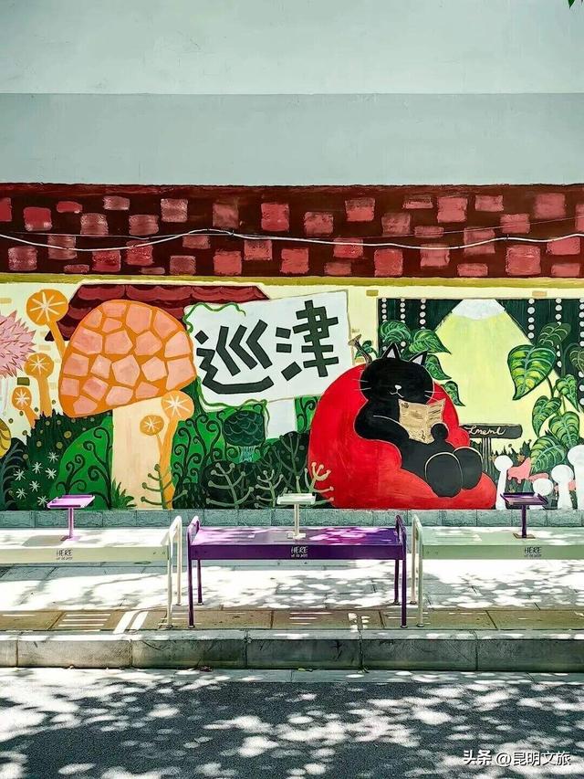 西山赏杏观鸥全攻略！40载人鸥情缘！3+8+N玩法承包冬日浪漫