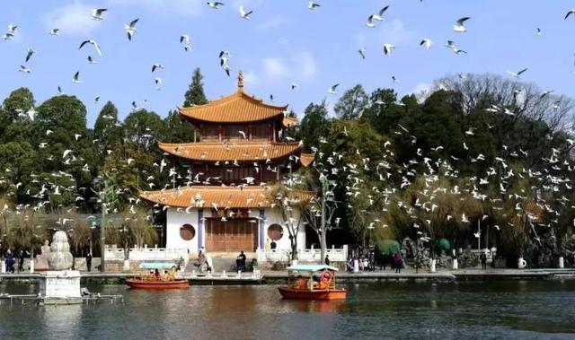 观鸥更方便！全新移动服务“神器”来了！