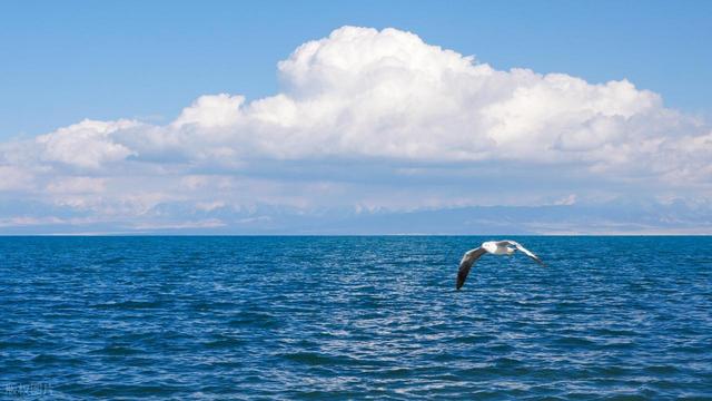 青海无海，却藏着世界级的湖泊美景，这5个高原湖泊，风光壮阔！