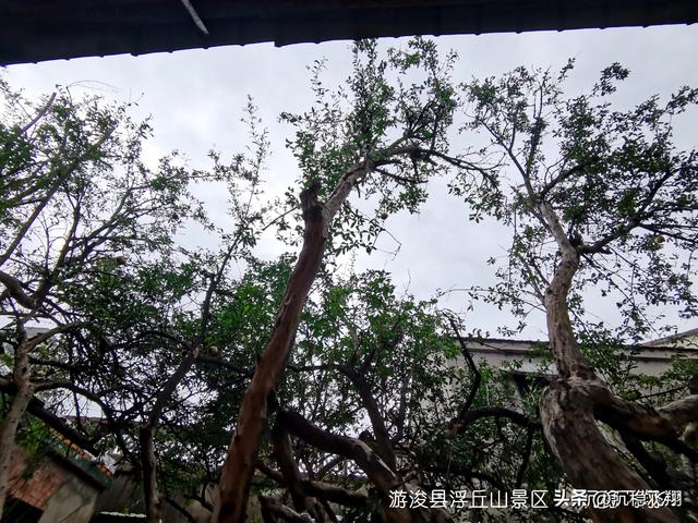 游浚县浮丘山景区
