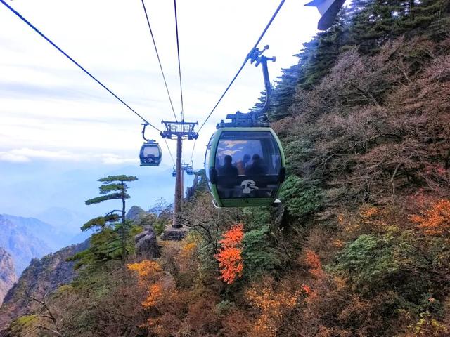 黄山秋色与云海同框的浪漫时刻 | 皖美冬日 | 第十五届安徽国际文化旅游节