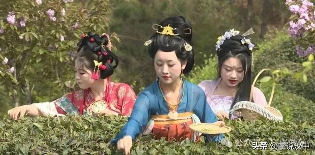 抢“鲜”看！宁强县“双节”文旅活动出炉→