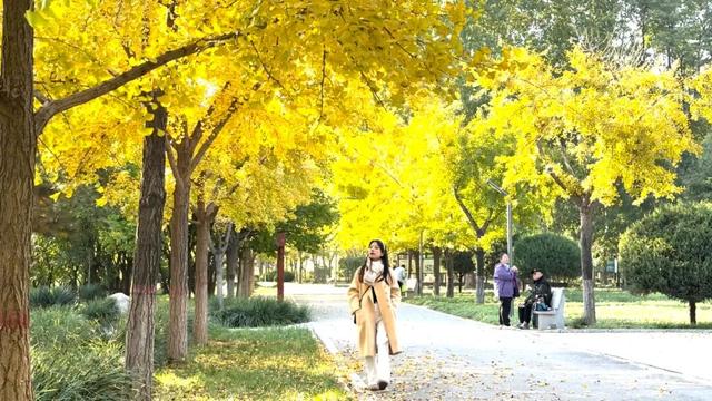 秋韵满园！石家庄市植物园赏秋攻略，请查收→