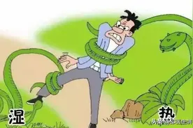 易长结石的病根，竟在湿热体质，中医教你攻补兼施，结石不再有。图片