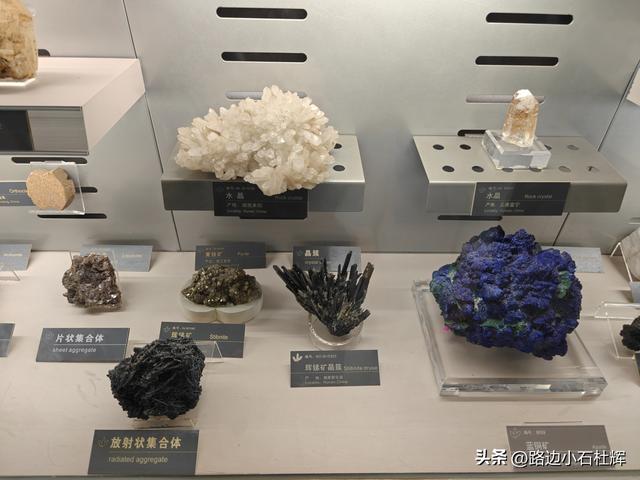 逛中国地质博物馆——一家好博物馆的暑期不佳体验