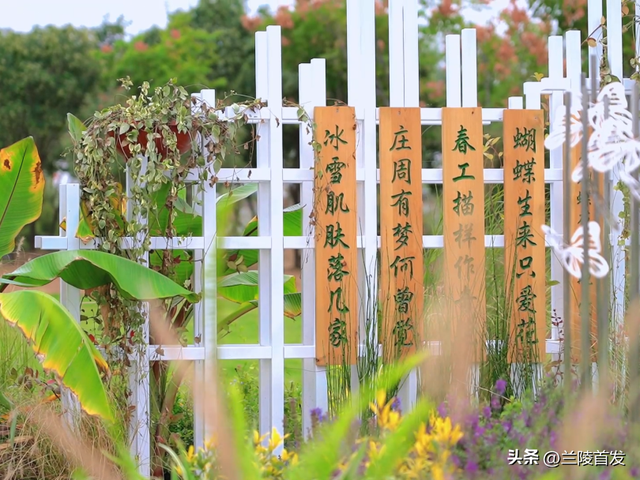 好客山东好品山东| 临沂的秋天，这10处绝美打卡地别错过！先收藏慢慢逛~
