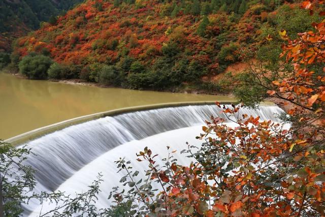 不到西坡，怎知秋色如许？