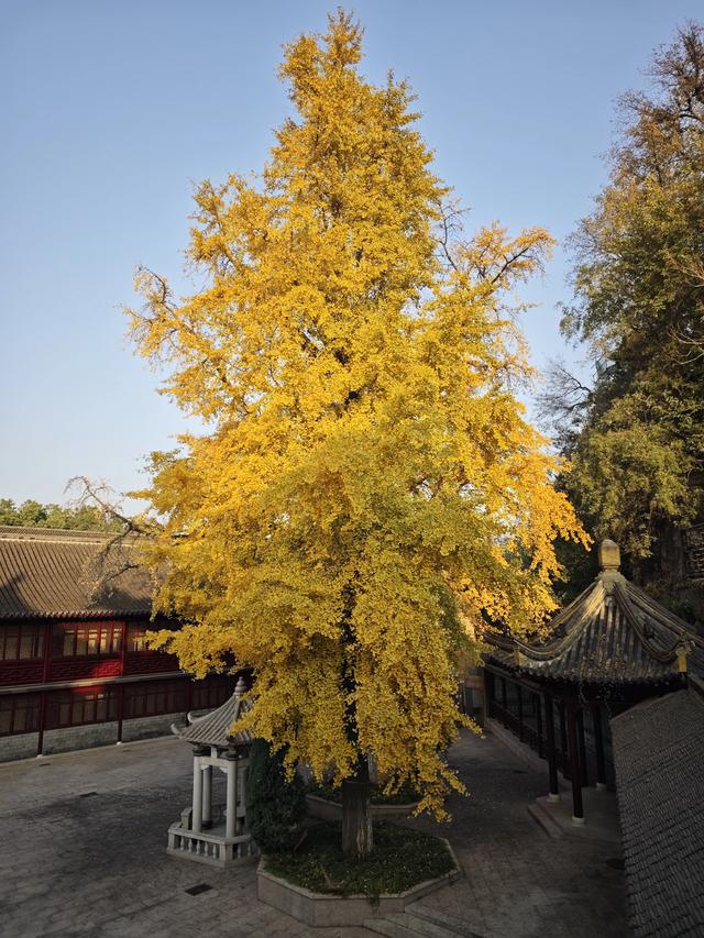 江苏扬州镇江南京五日游