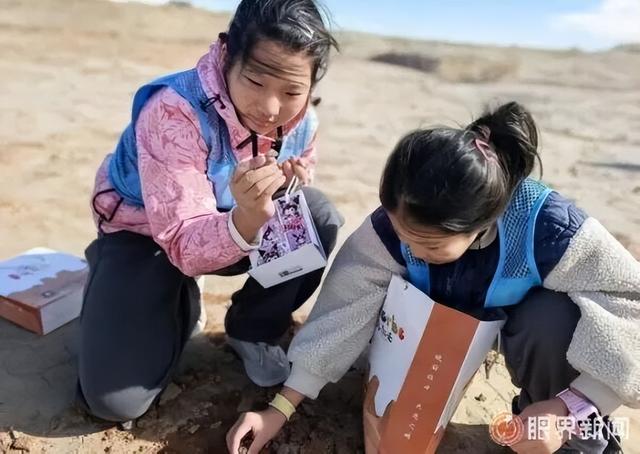 把世界当作课堂 一场优质研学如何炼成？