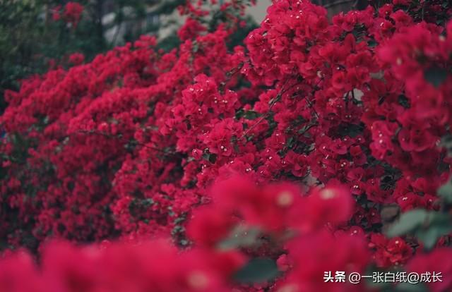 15句正能量励志句子，句句温暖治愈，让你斗志昂扬！