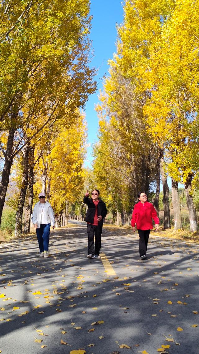 从宣化走这条路到崇礼，一路美景看不够