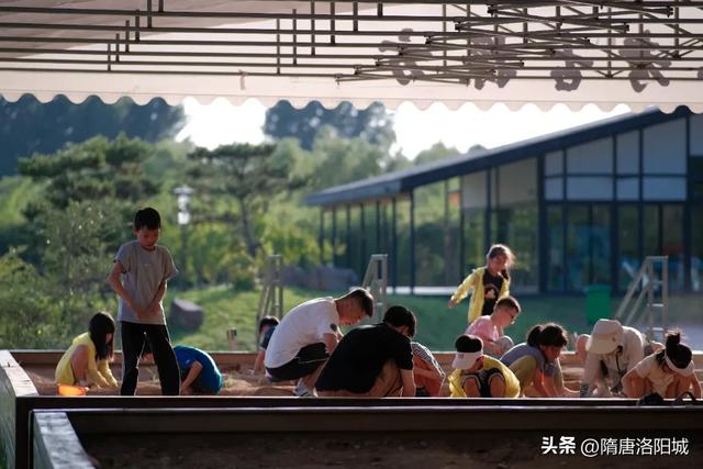 “双节”同庆，快乐翻倍！洛阳花式文旅大餐已备齐！