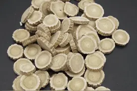 黄芪的种类和规格非常多，您平时都选对了吗？图片