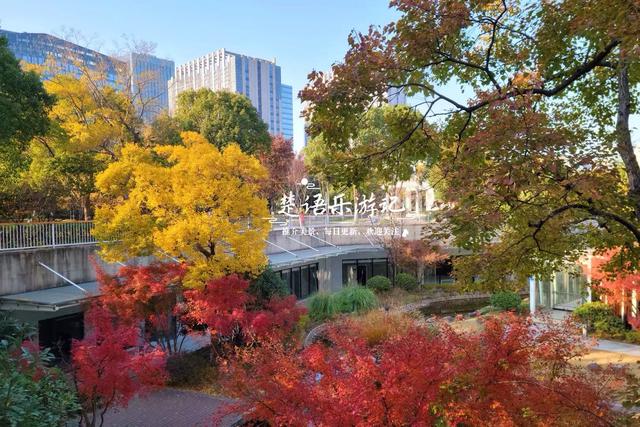 浙江宁波的绝美风景，犹如多彩的田园风情画，拍照与休闲都是一绝