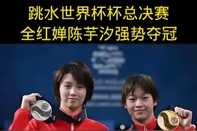 深扒陈芋汐家世，才懂同样是跳水天才，为何全红婵的商业价值更高图片