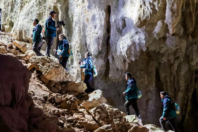 4天3夜极限挑战！荔波茂兰上演企业团队地心穿越巅峰对决