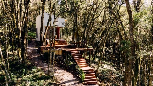 35㎡的森林拥抱，沉浸式短住秘境小屋