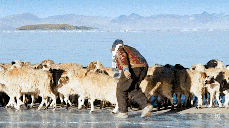 西藏没有海，却收集了世间所有蓝