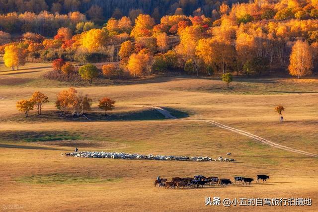 9 地秋日赏秋实测攻略！附最佳时间 + 落地玩法，收藏直接走