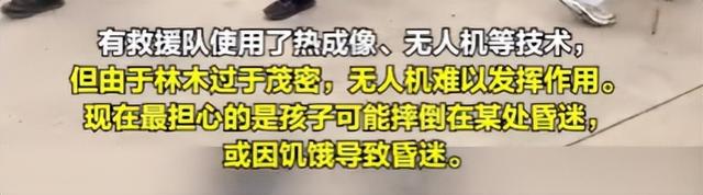 自闭儿走丢最新：三次搜山无果，救援队传来噩耗，夏令营黑幕曝光