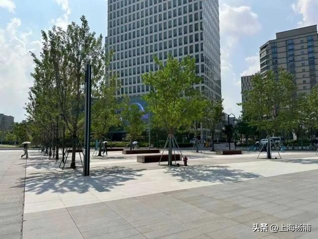 来杨浦“轧马路”！这条Citywalk路线藏不住了