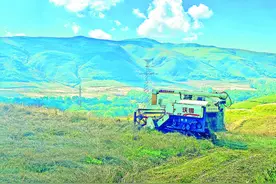 化隆“统种共富”开启农村土地种植新模式图片
