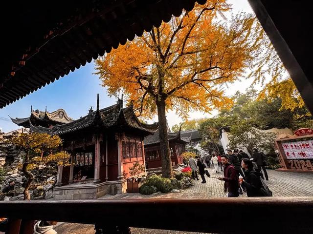 周五宠粉日|国庆赏秋,快收藏这份上海Citywalk指南,更有豫园门票等你来领!
