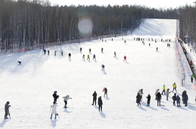 大雪已至 龙江皆雪趣