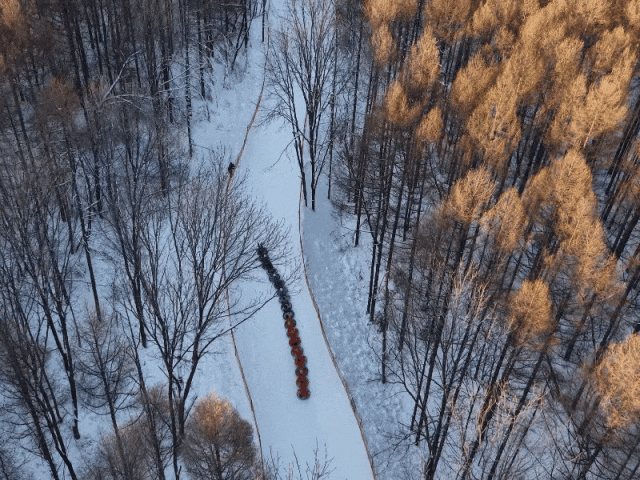“白+黑”模式开启🤩长春这家5A级景区上新啦！