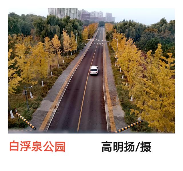 北京十一月，刻在时光里的暖。