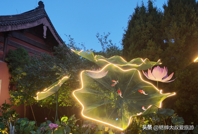 杭州千年古祠终于夜间开放，独特光影与节目，让秋日欢乐加倍！