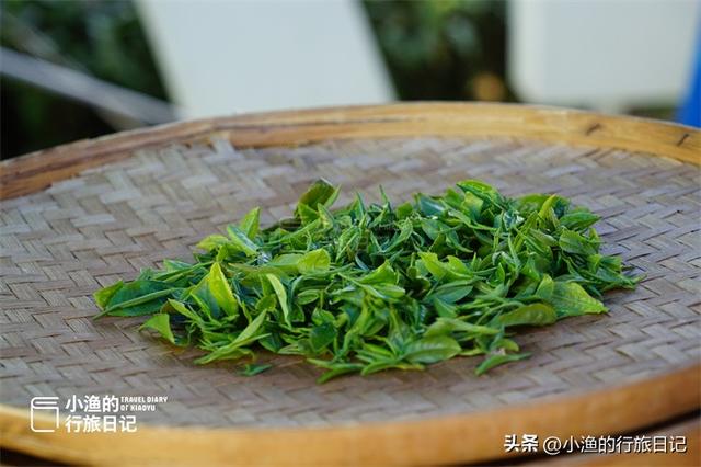 西安出发3h，陕川交界“小重庆”，超治愈的高山茶园！风景绝了