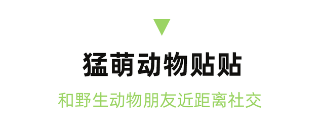 逃离高温！成都2H躲进峡谷避暑地，徒步森林瀑布、探秘野生动物！超萌奖牌周末就冲！