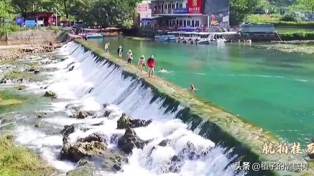 七十响礼炮震彻都安，千层岭间漫卷乡愁：七秩辉煌，你我共见