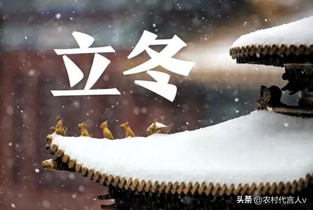 “立冬不过午，三九雪堵门”，明日立冬，今年冬天雪大吗？早了解