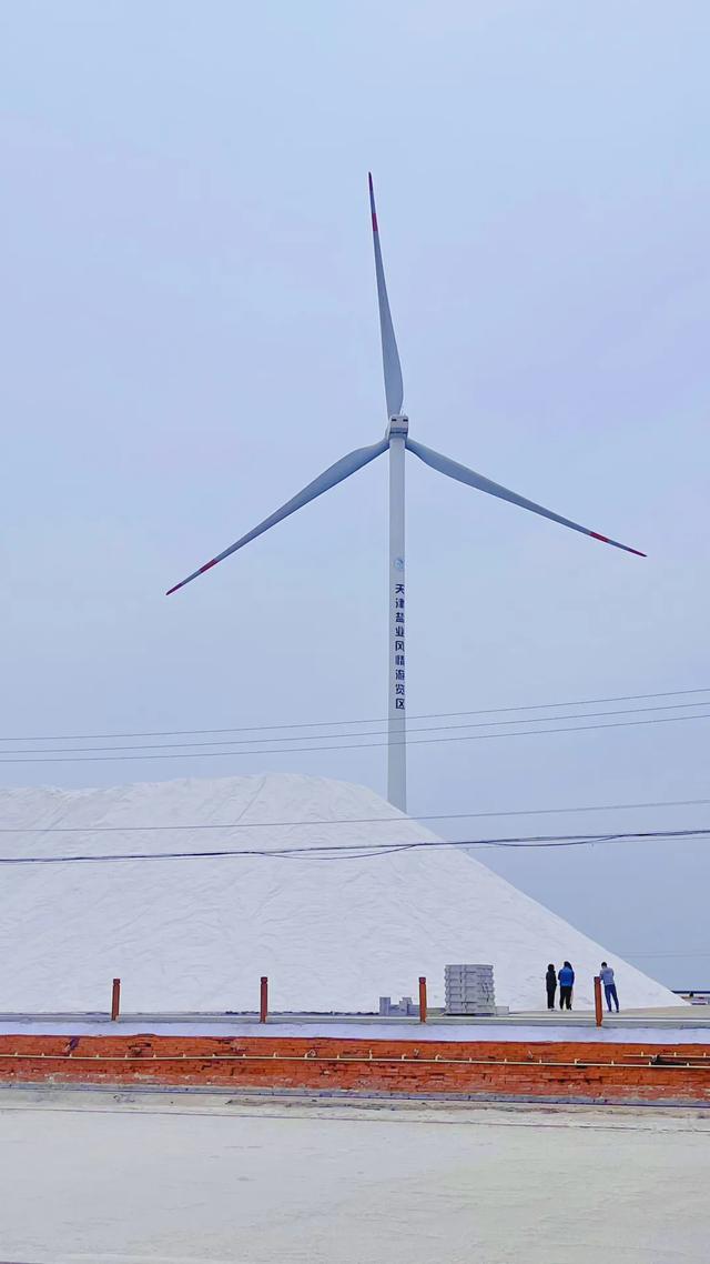 芦花千年尽飞雪