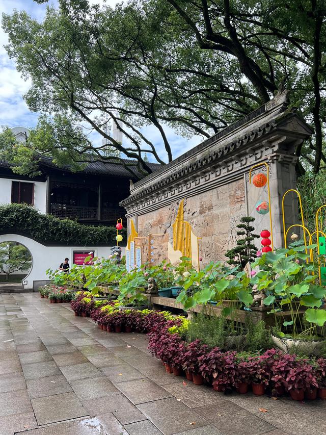上海松江醉白池