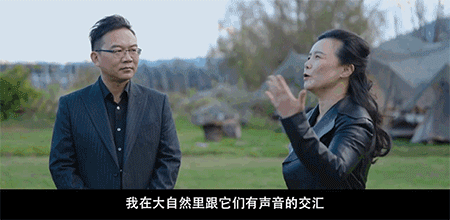 龚琳娜离婚前卑微得可怕：独守空房5年，模仿小三送礼物讨好前夫