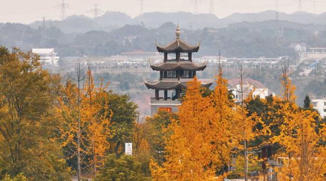 四川省屏山县历史沿革及行政区划