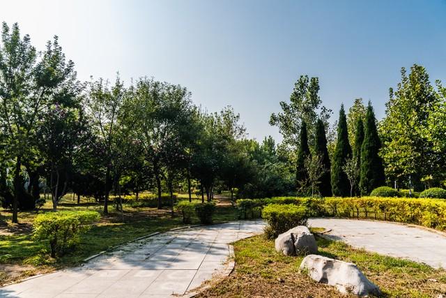 一个人不尊重你时	，不要沟通，不要愤怒，只需记住"海格力斯效应"