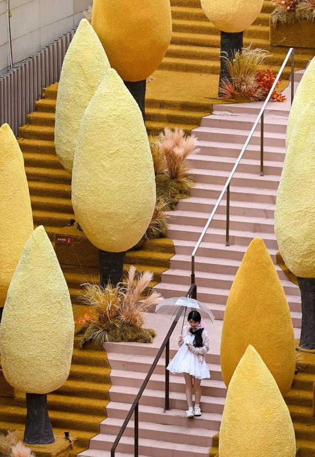 不用去新疆，重庆人“家门口”就有油画里的秋天！