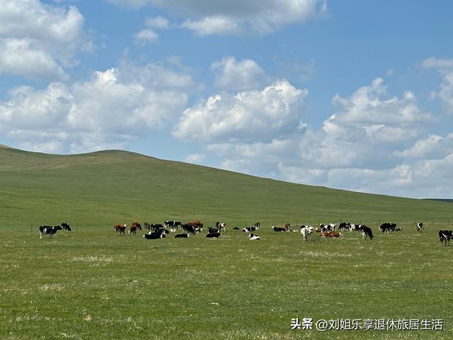 呼伦贝尔大草原不走寻常路，看最美的莫尔格勒河九曲十八弯