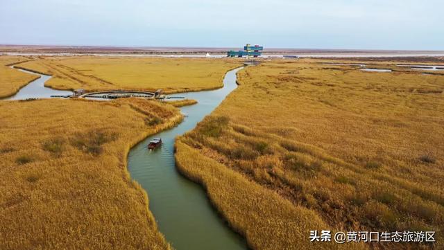 【黄河口生态旅游区】当马拉松遇上黄河口秋日：看候鸟、赏湿地，送福利啦！