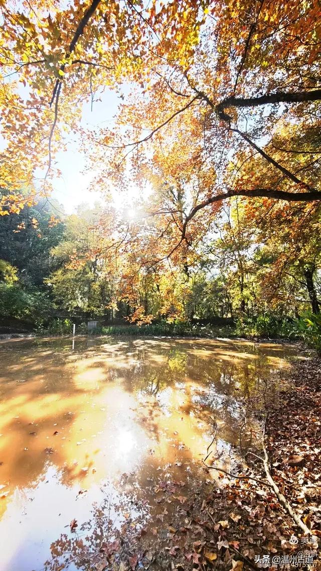 秋染浙西,邂逅烂柯仙境的绝美风光!