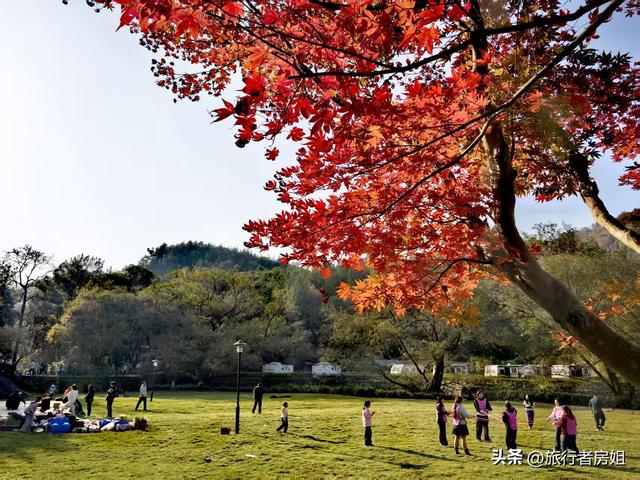 真是醉了，徒步奉化东西岙徐凫岩看悬崖飞瀑堵人竟然堵到怀疑人生