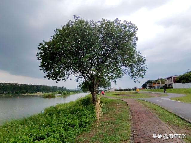 南海金沙岛国家湿地公园