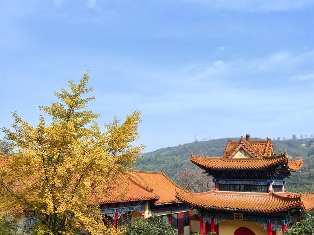 黄土里的鲸鱼：白鹿原上，关中竹海，暖如阳春，幽似江南