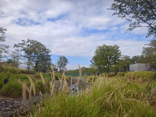 环西丽湖绿道骑行慢行随拍-动个好奇心