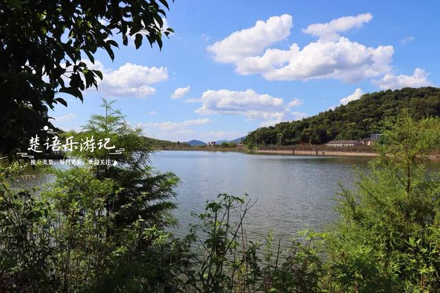 浙江绍兴的新晋网红打卡地，因月牙弯而走红，湖杉鹭影美不胜收