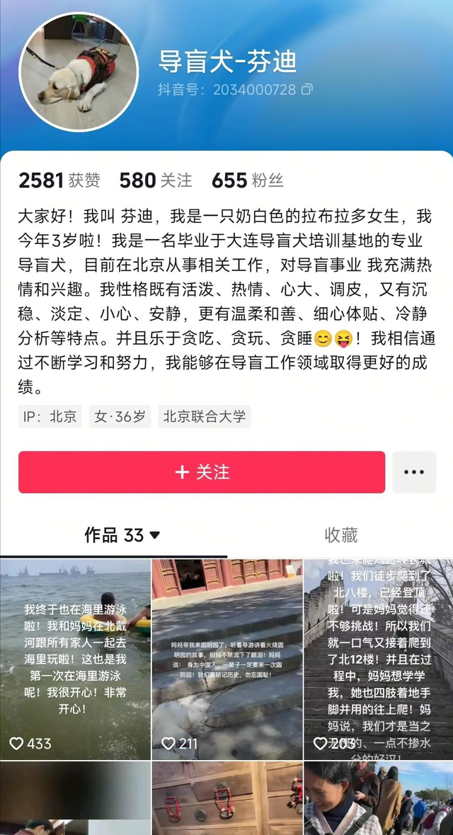 爬泰山的作死夫妻被制裁！导盲犬被收回，身份被扒，家里还有一只